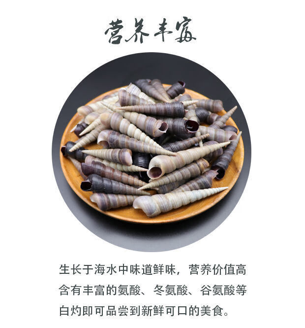 新鲜钉螺连云港钉螺贝类海鲜海瓜子螺丝贝壳类生鲜田螺鲜海螺去尾钉螺