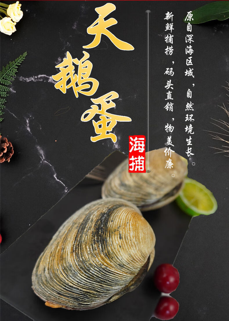 天鹅蛋贝50个粉丝天鹅蛋去内脏去沙大蛤蜊贝类新鲜烧烤冻品去壳去内脏