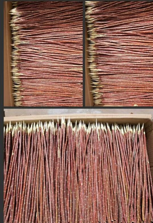 红柳木烤肉签子新疆红柳枝烧烤枝签子红柳木烧烤签子红柳烤肉签子