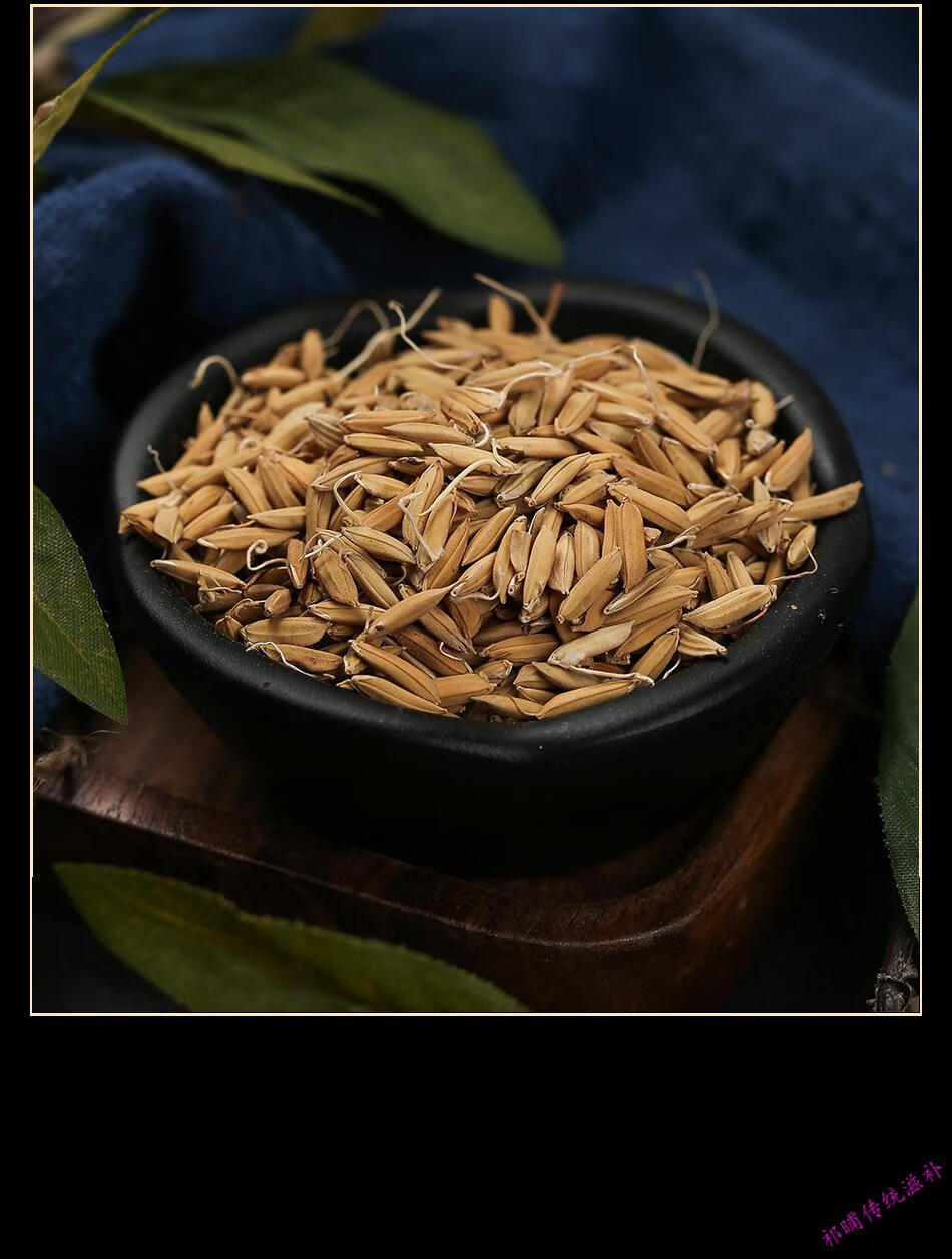 稻芽生稻芽生谷芽炒稻芽炒谷芽双芽水谷牙