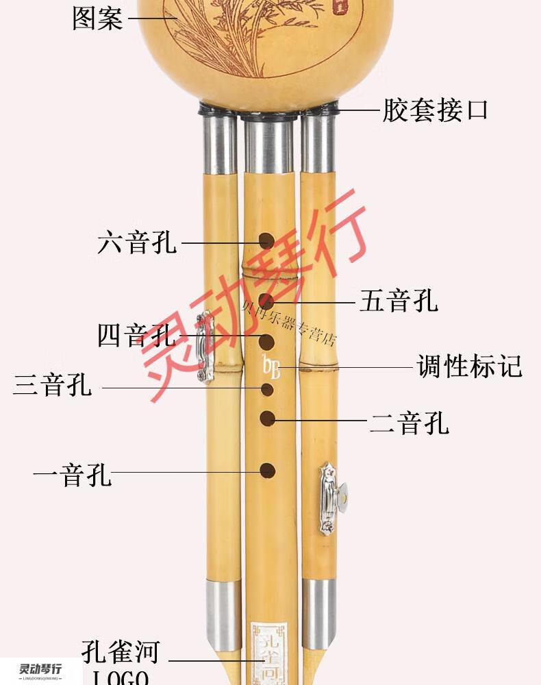孔雀河金竹葫芦丝c调降b小dgf调小学生初学者演奏型典藏款竹林听雨小d