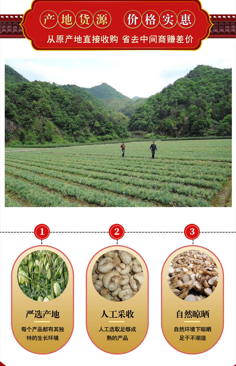 北京同仁堂浙贝母500克浙贝母片中药材浙贝粉浙贝母粉1斤象贝珠贝浙贝