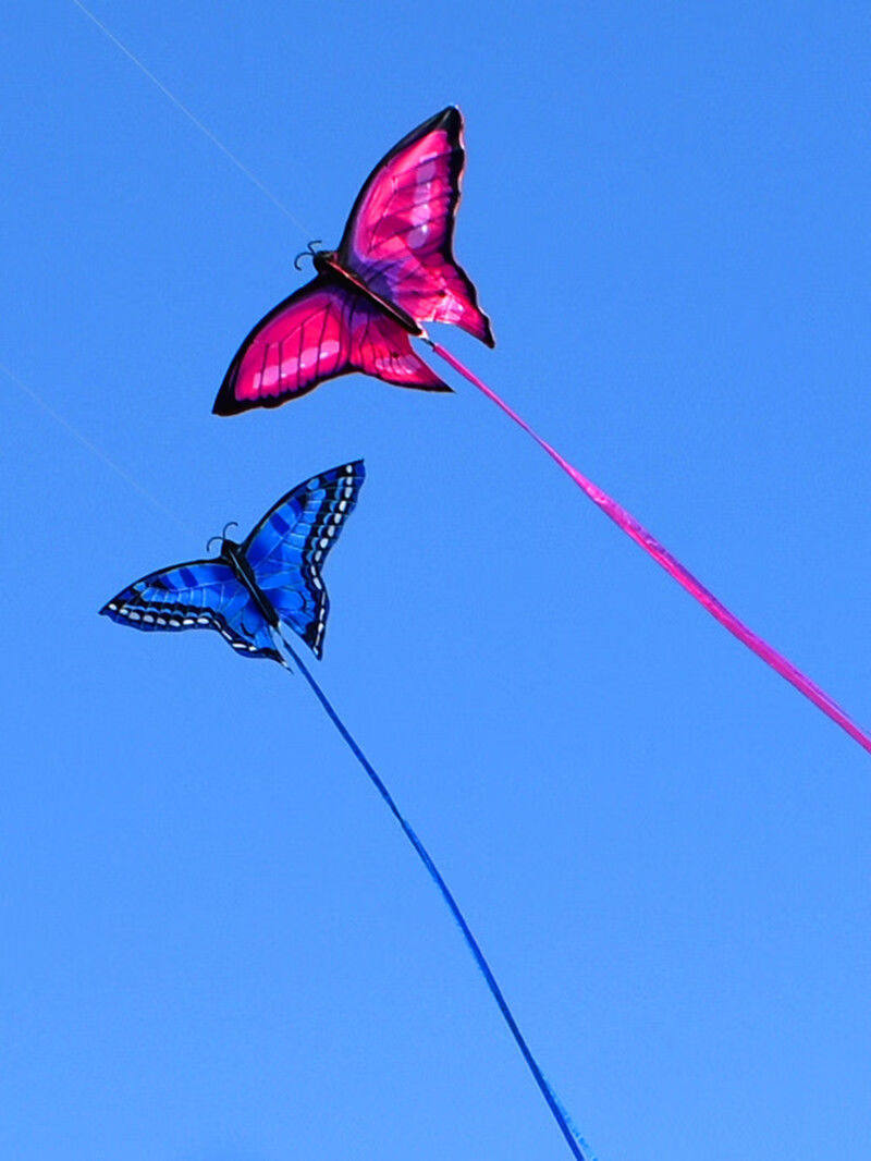 bgtqz风筝儿童易飞 2022年新款式蝴蝶风筝儿童易飞专用微风好飞网红