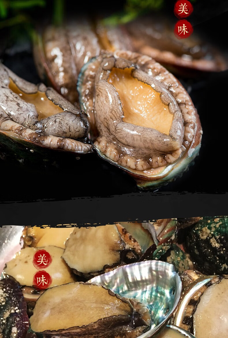 鲍鱼500g东山岛活冻贝类特大鲍鱼dd愚港海鲜水产500g6头