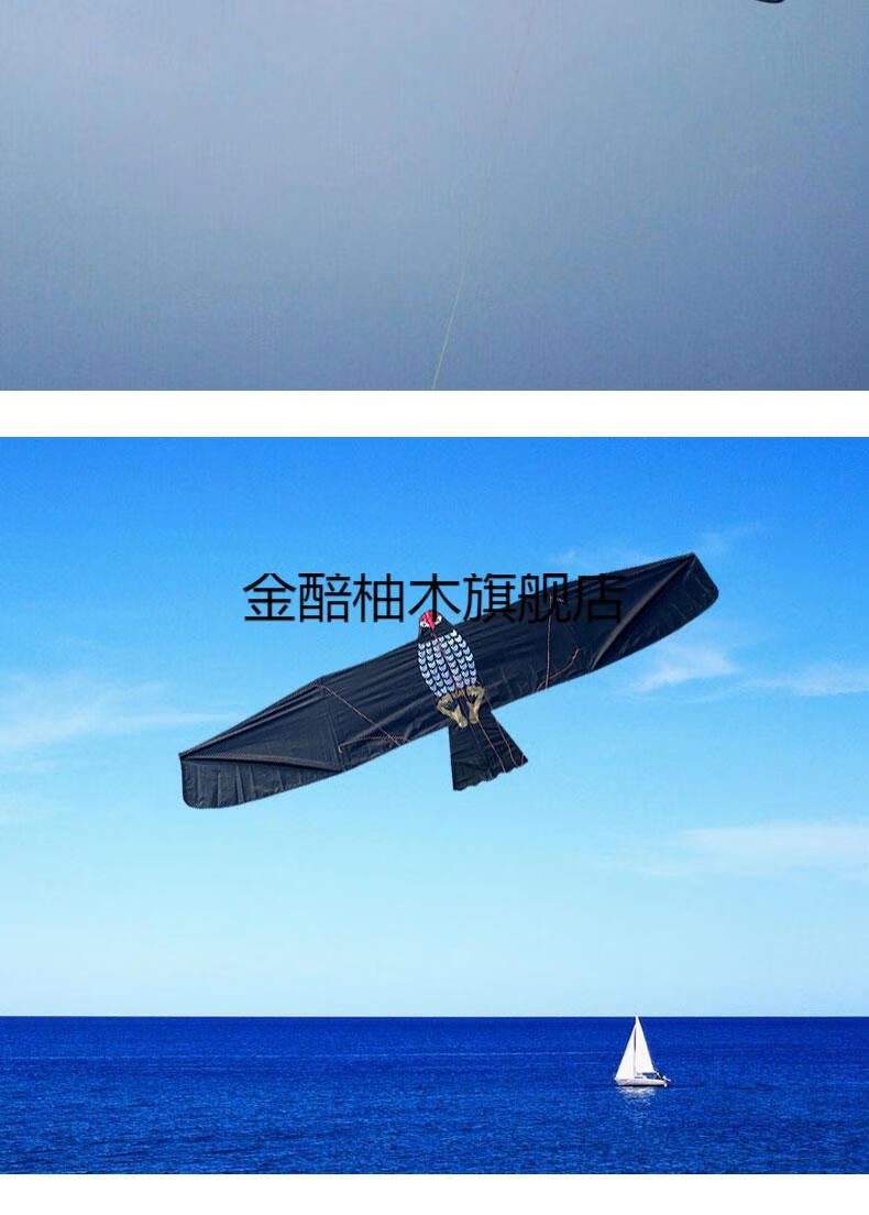 伞布风筝新款544软伞布老鹰风筝碳杆抗风板鹰风筝大人专用滑板鹰风筝
