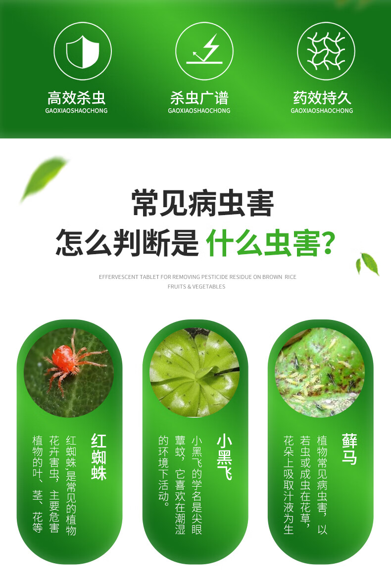 长寿花杀虫药长寿花杀虫剂专用杀虫药家用绿植除虫药植物驱虫药养花