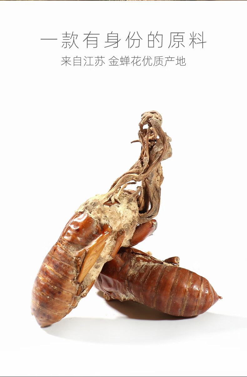 同仁堂同仁堂金蝉花250g中药材2019新货知了花金蚕花虫草粉特级500g