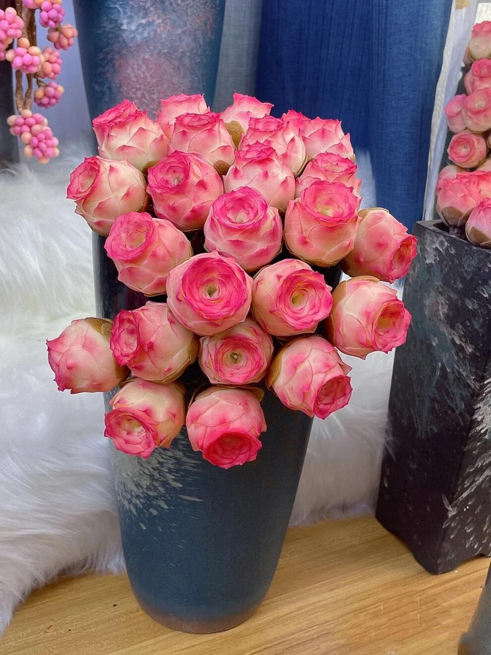 山地玫瑰粉耶罗粉色酒杯木质桩新手多肉植物室内阳台多肉2升精品营养