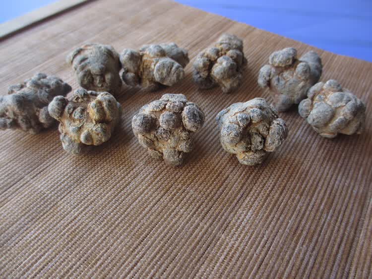 云南文山三七500克春三七肉质墨绿三七粉三七花20头30头37可磨粉 10头