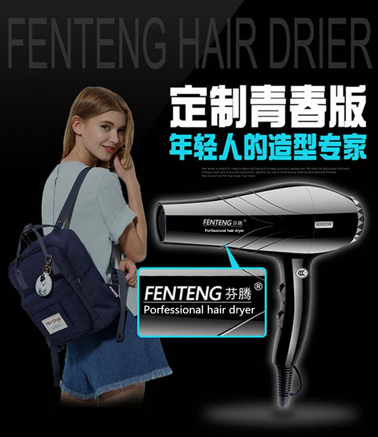 芬腾吹风机芬腾电吹风机家用大功率3000w理发店发廊专用5000w蓝光宿舍