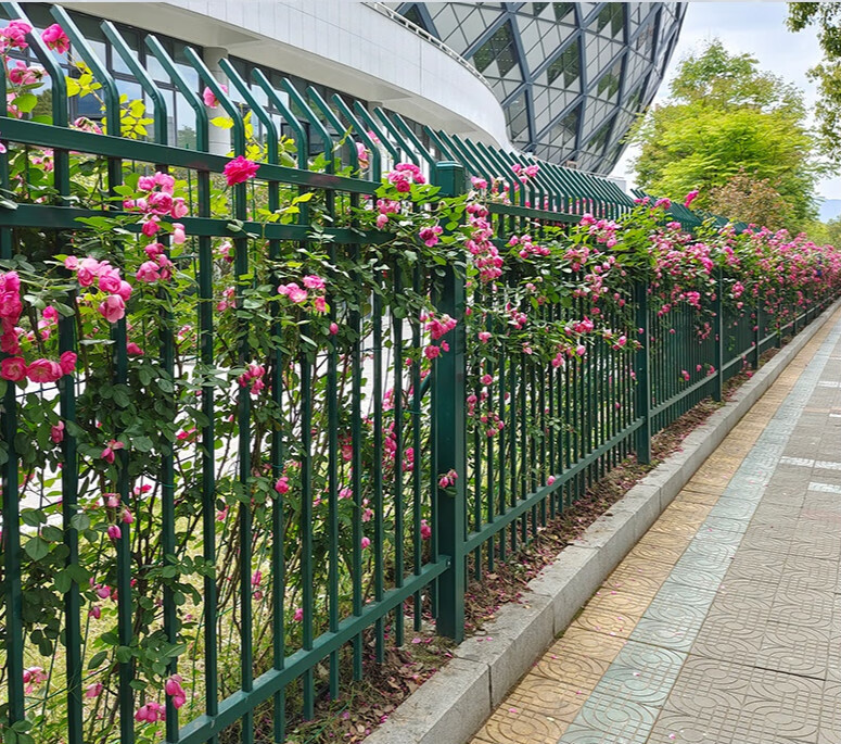 户外绿化带围栏铁艺花坛栅栏市政园林花园隔离铁栏杆30公分高加厚款