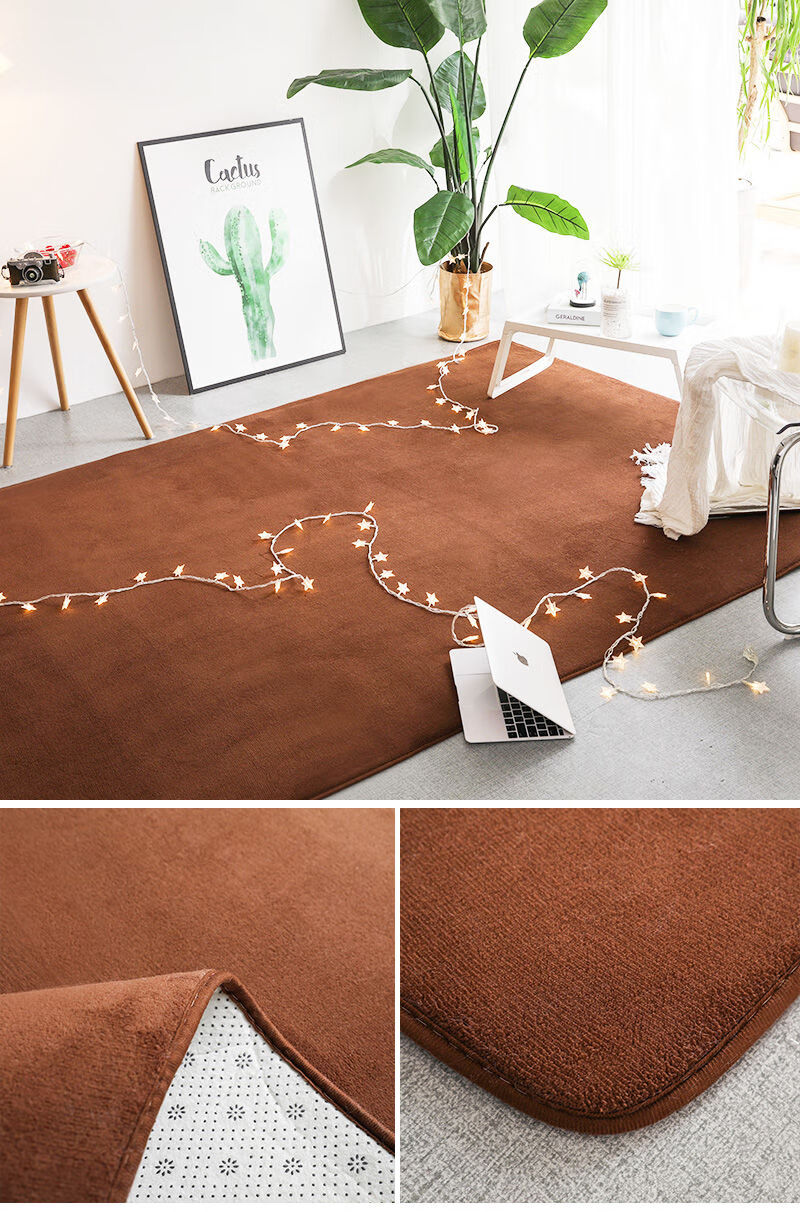 可爱少女心房间地毯满铺床边飘窗榻榻米地垫深咖啡色40x60厘米三件装