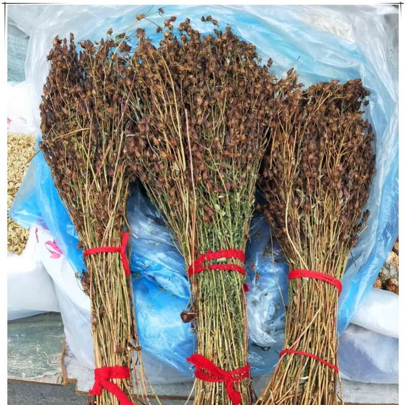 一件稳心草 野生稳心草50g