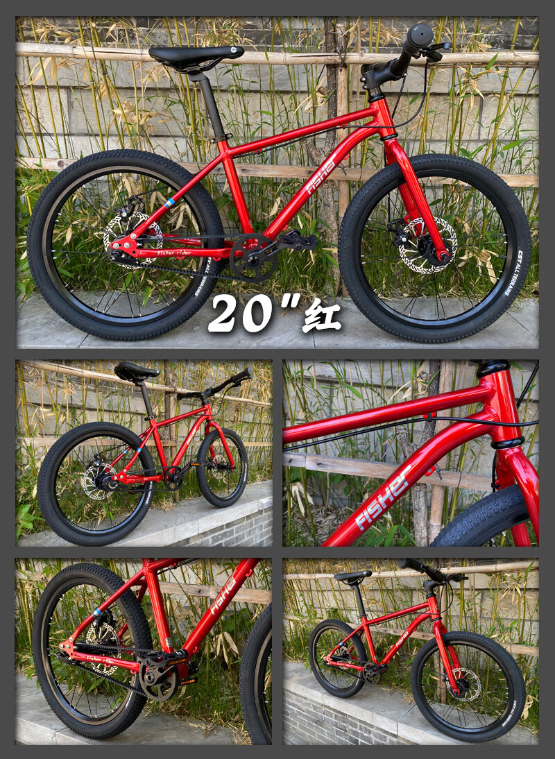 飞鱼儿童自行车飞鱼超轻儿童自行车单脚踏车户外运动踏青学生14-20寸