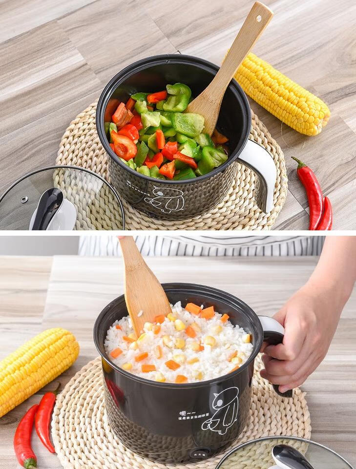 液体加热器电煮锅可以炒菜做饭一体的电锅学生宿舍家用小多功能小型