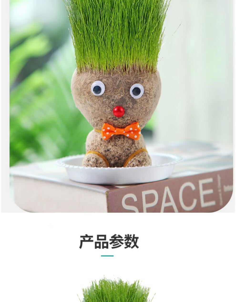 精选现发创意长草娃娃盆栽猫草娃娃办公室迷你盆栽绿植儿童圣诞礼品