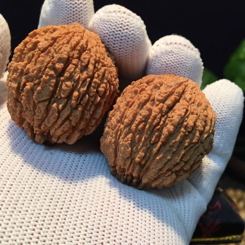 提伯斯文玩超大猴头核桃手把件精品野生狮子头红皮骨质好秒沉水七夕