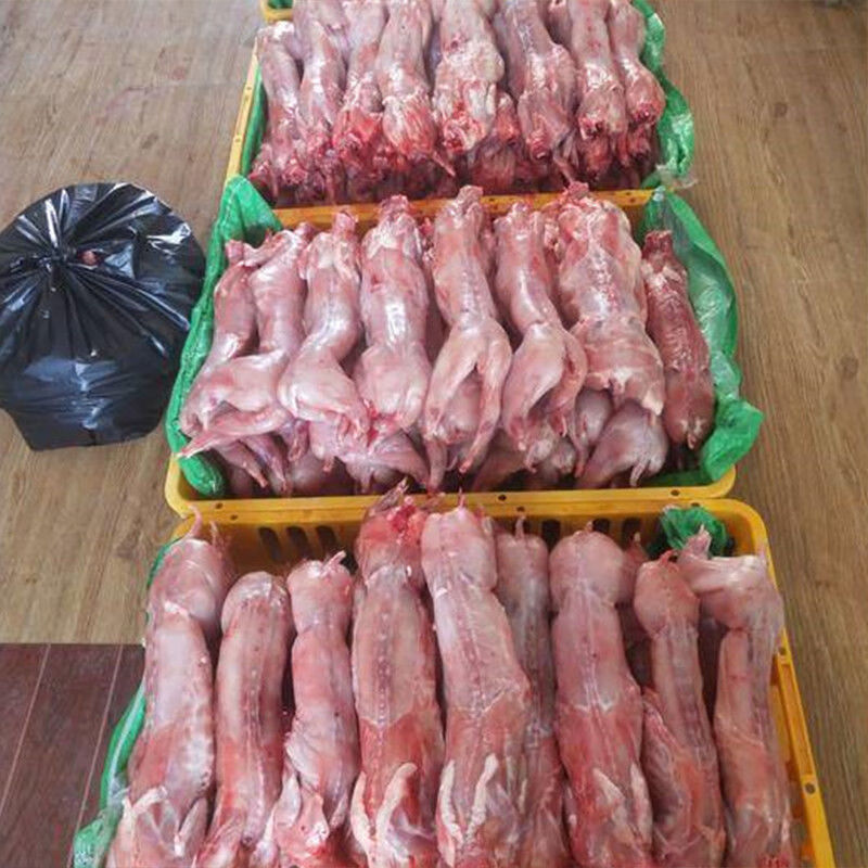 农家散养生鲜去头整只剥皮兔带头烫皮新鲜现杀真空包装冷冻发货 去头