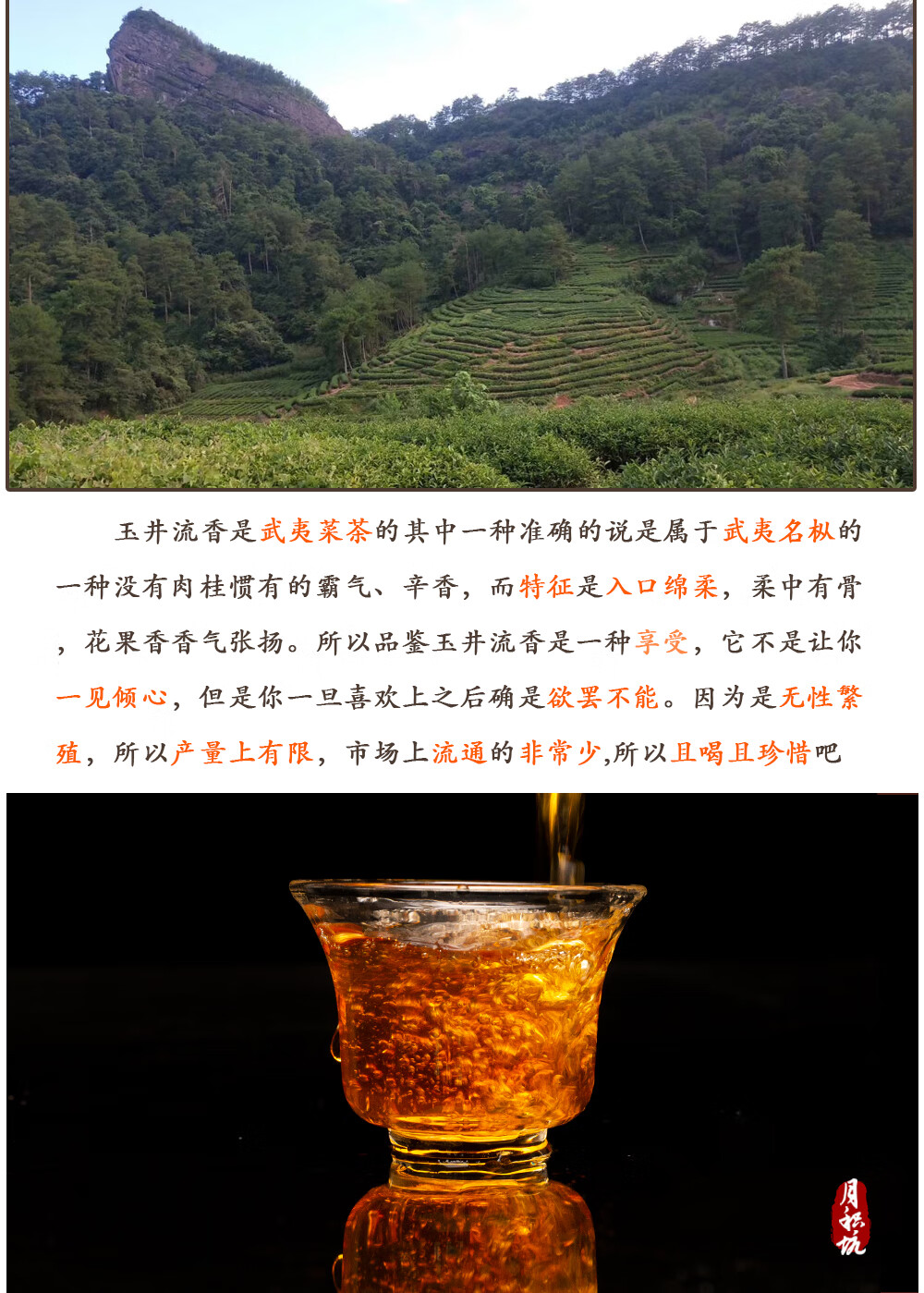 玉井留香武夷菜茶小品种花香名枞正岩鬼洞乌龙大红袍 108g【图片 价格