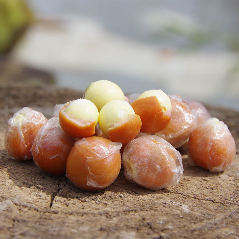 广东东凤鲜芡实鲜嫩鸡头米芡实康中尊 5000g【图片 价格 品牌 报价】