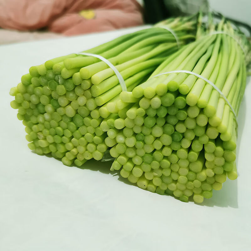 现摘现发新鲜蒜苔农家自种蔬菜蒜薹蒜毫新鲜蒜苔5斤