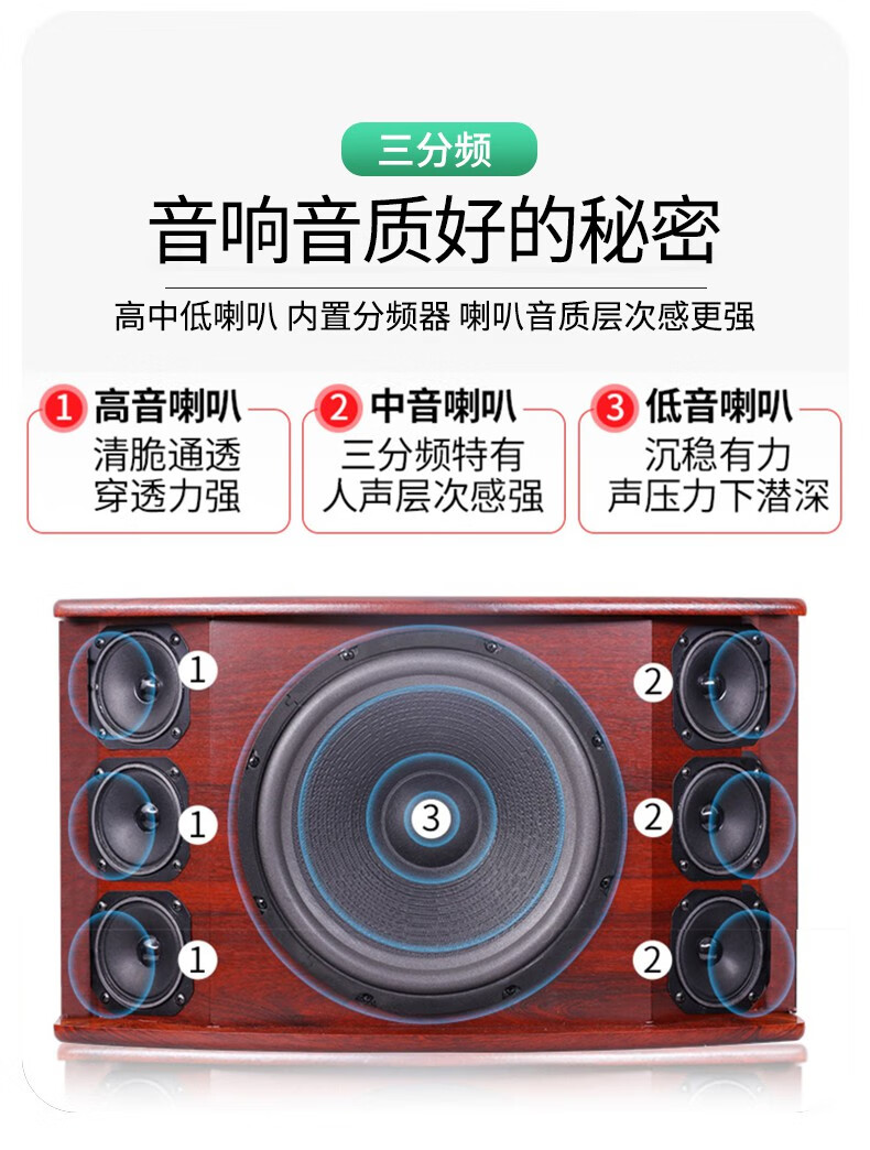 先科(sast)先科家庭ktv音响套装功放会议卡包音箱家用k歌设备全套电视