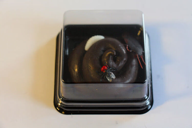 便便仿真大便沙雕整蛊送情人男女朋友礼物巧克力便便心形透明蟑螂款