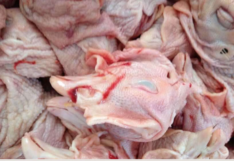 鸡头新鲜生鸡冠鸡肉食品生鲜肉食4斤40个