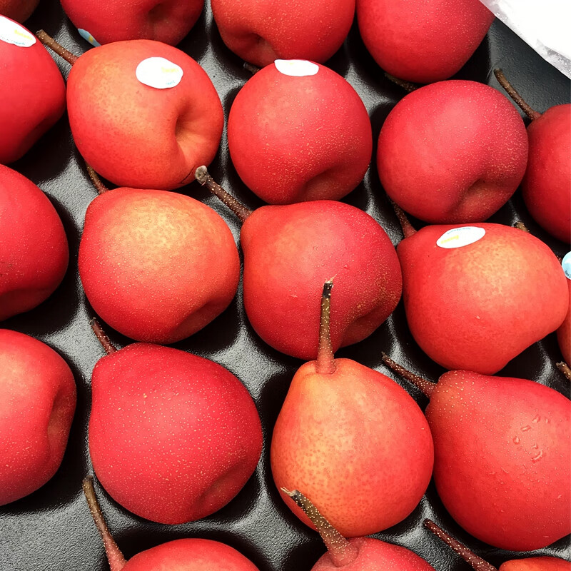 新西兰红啤梨脆嫩爽甜红宝石啤梨3斤蜜梨新鲜孕妇水果顺丰 中果 1500g