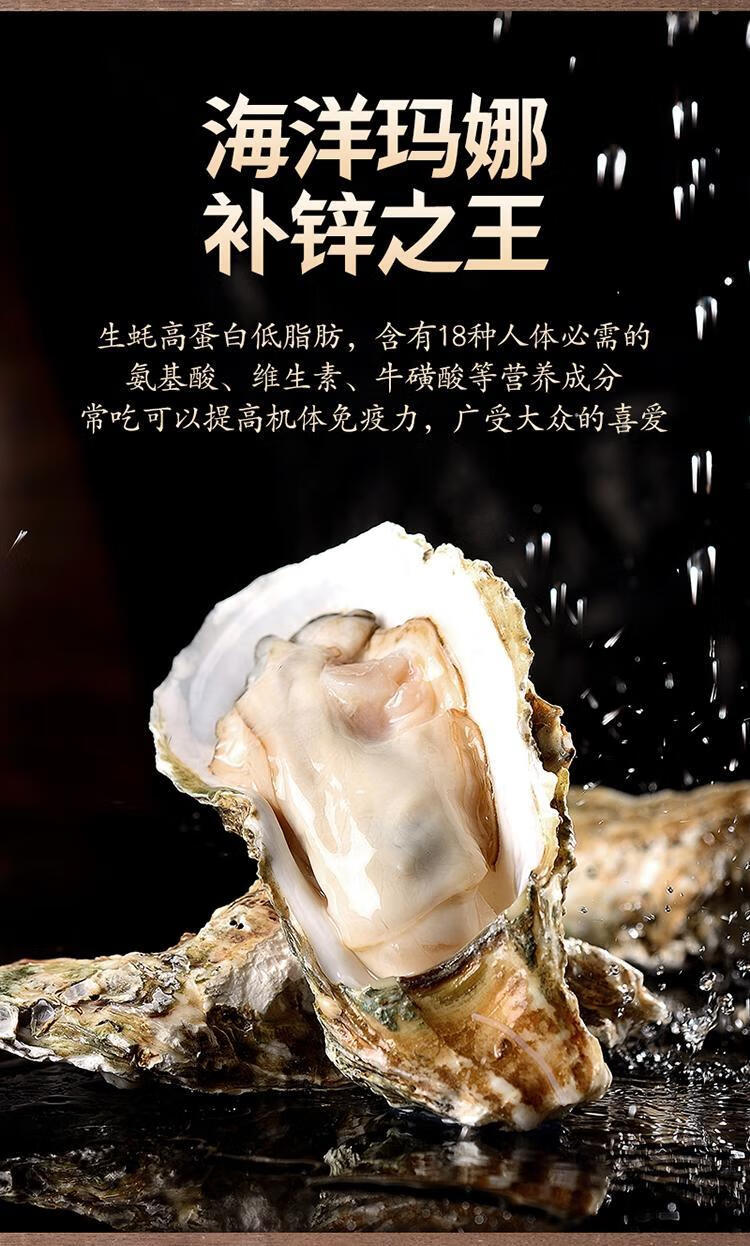 山东乳山新鲜生蚝鲜活海鲜水产海蛎子贝壳牡蛎带壳生吃特大套餐一xl