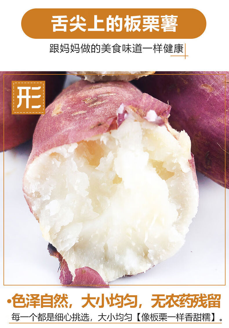年货精选白心红薯板栗薯现挖现发农家老品种地瓜新鲜白瓤番薯红苕2510