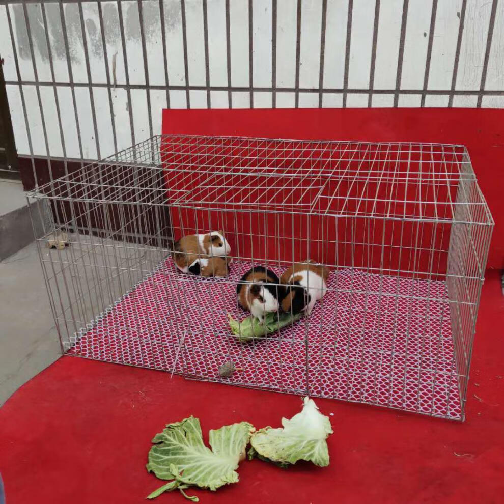 y宠物兔笼子特大号兔子笼子刺猬荷兰猪貂龙猫豚鼠松鼠兔笼子兔笼地狼