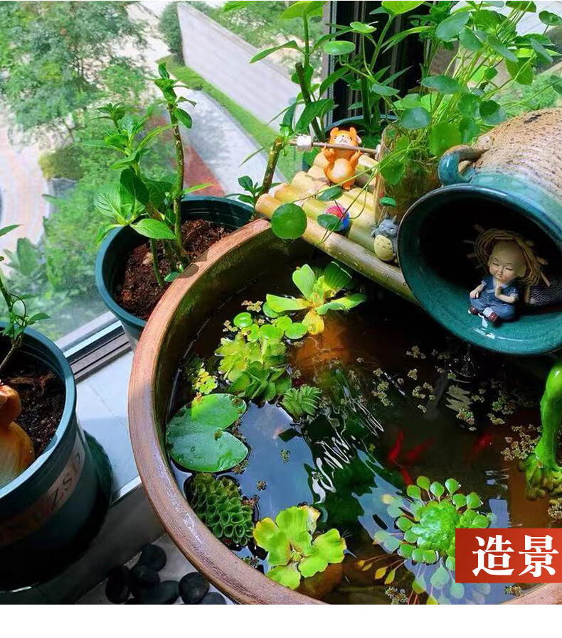 睡莲花盆土陶睡莲碗莲盆家用荷花缸养鱼庭院造景老式厨房水缸酱缸5斤