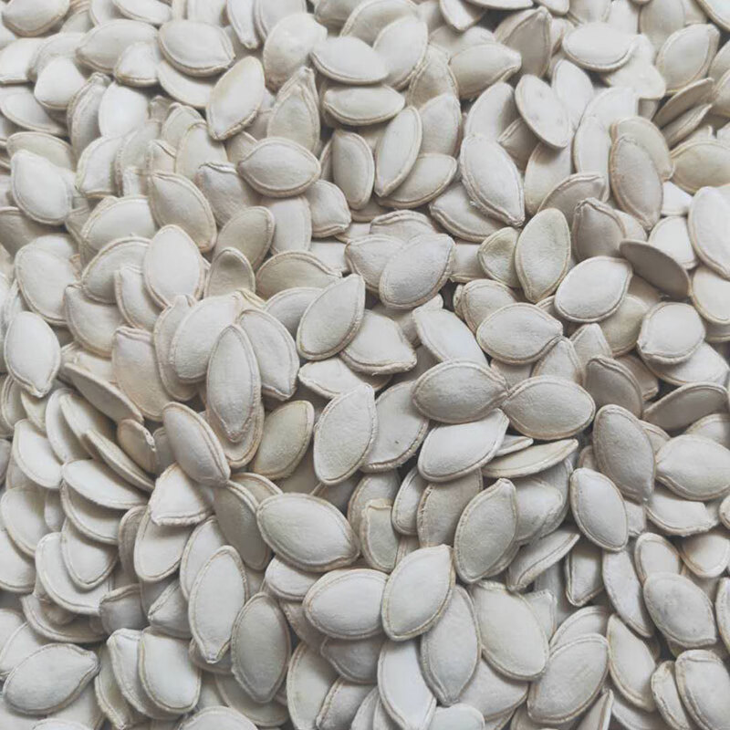 南瓜子新货带壳散装5斤生南白爪子内蒙熟原味南瓜籽特大粒现炒货 5斤