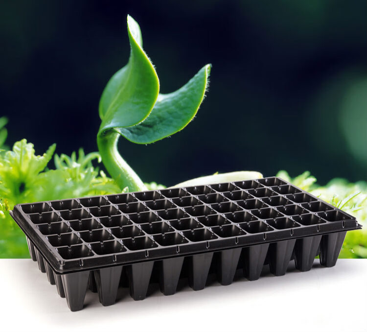 玉米育苗盘材质穴盘芽苗盘育苗盆育苗盘种植盘多肉育苗盒 0.