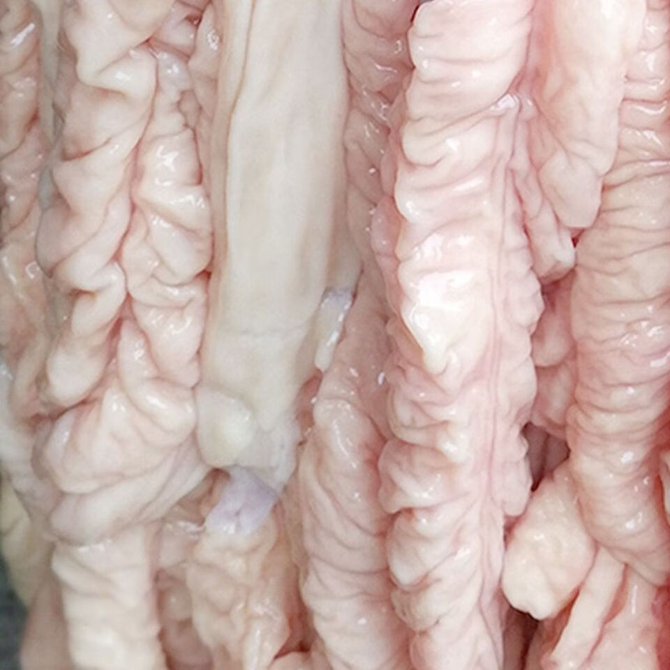 新鲜猪大肠鲜冻农家散养黑土猪现杀土猪肉免洗猪肠子青封铭 4斤新鲜猪