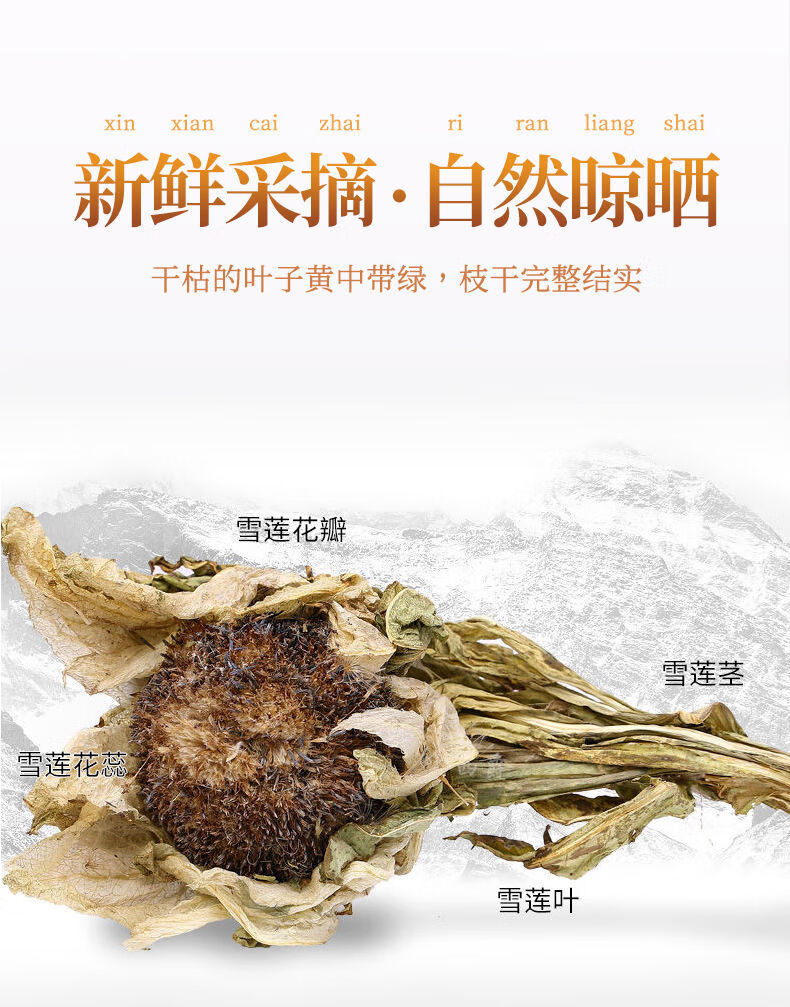 新疆天山雪莲花干中药材滋补泡酒冰山雪莲花茶中朵雪莲1朵