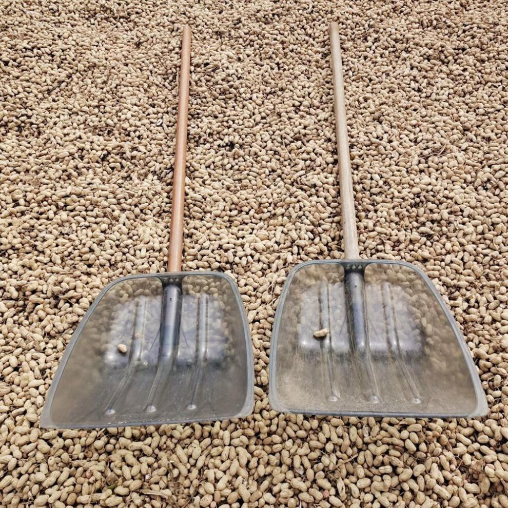 加厚透明塑料锹垃圾铲屯粮锨钢化铲子环卫木掀粮食铲大号农用工具小号