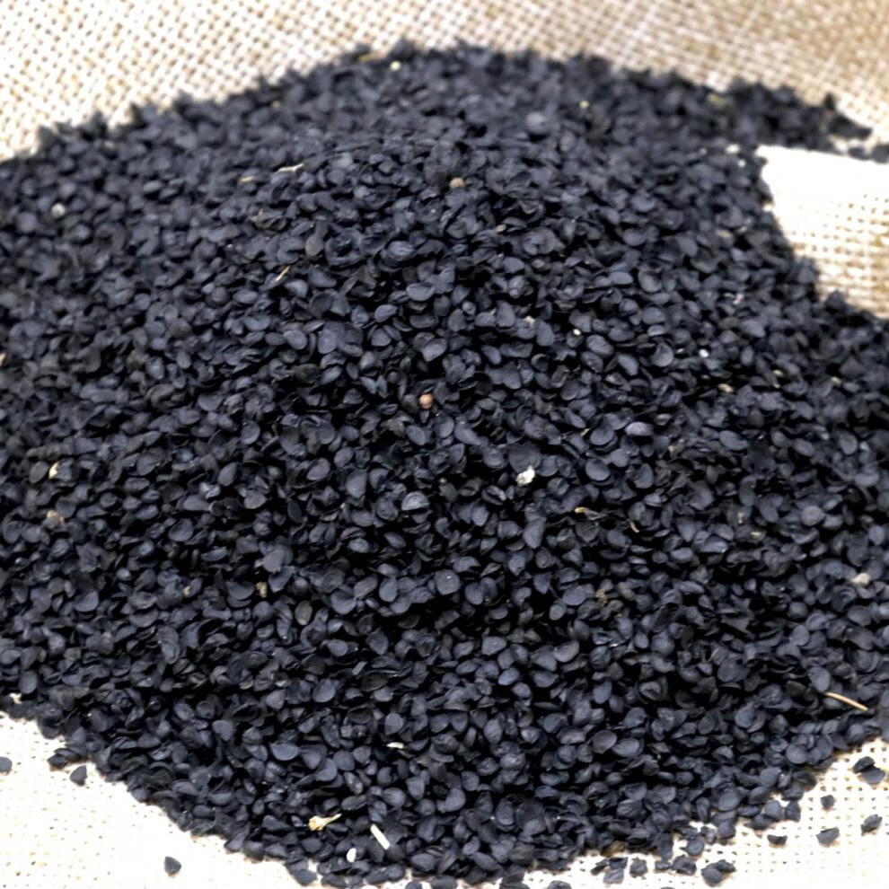 农乐种业四季小香葱种子上海小葱籽本地白根小葱种籽味香散装 2两(100