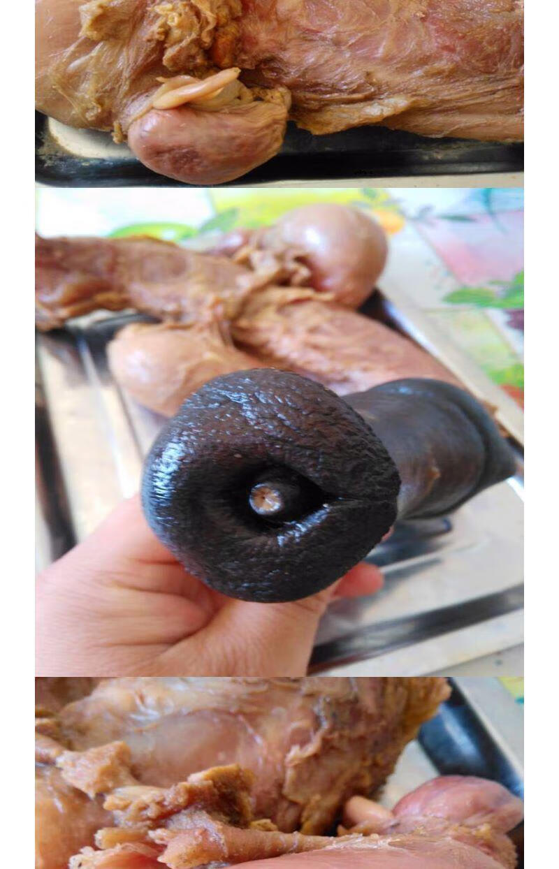 新鲜熟驴鞭带五香即食特大驴鞭整套男用泡酒金钱肉驴肉主打款五香带14