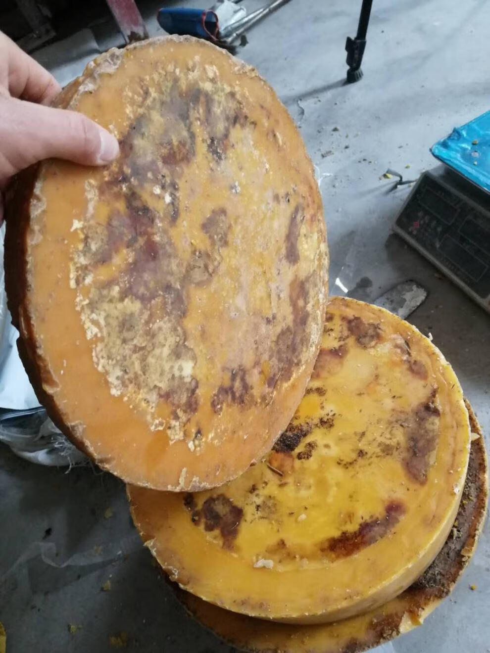 福美养蜂诱蜂蜡食用土蜂蜡纯正天然黄蜂蜡诱蜂用引蜂诱蜜蜡蜜蜡木用