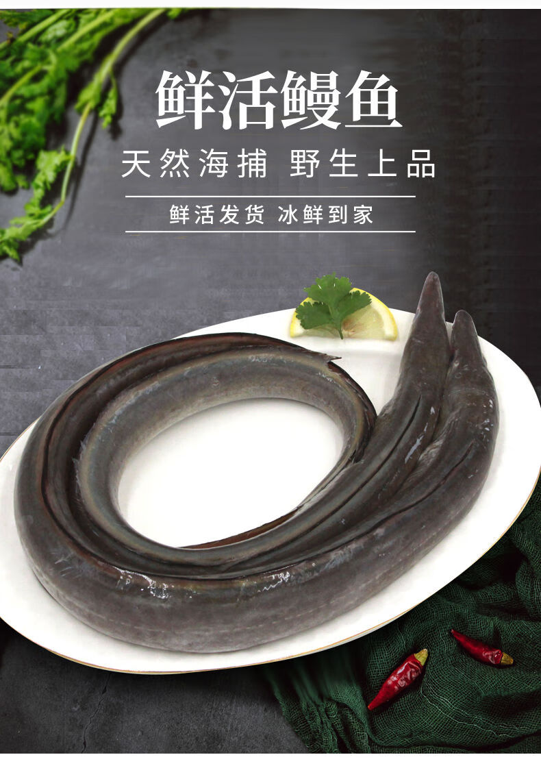 鳗鱼2条3斤左右【图片 价格 品牌 报价】-京东