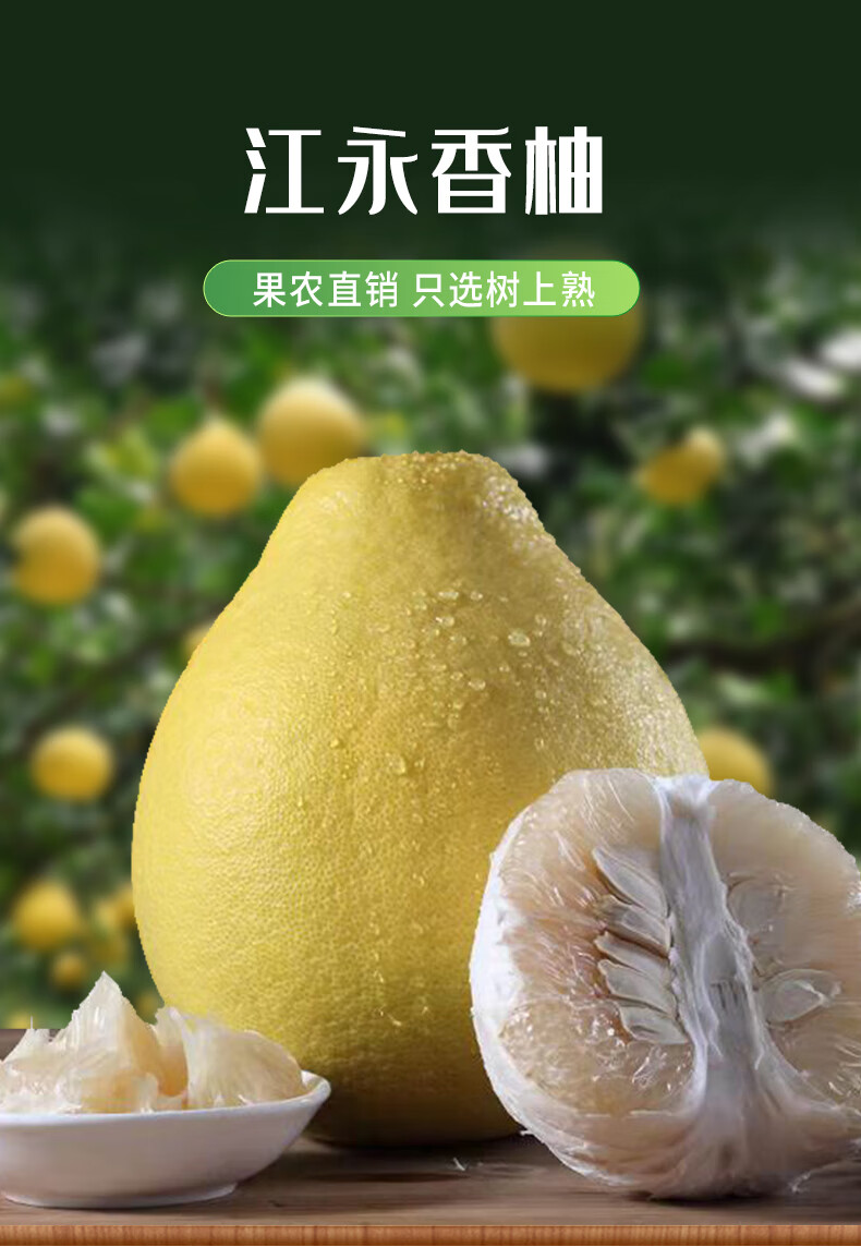 正宗江永香柚湖南永州特产纯甜老树冰糖沙田柚胜容县梅州柚子30斤精选