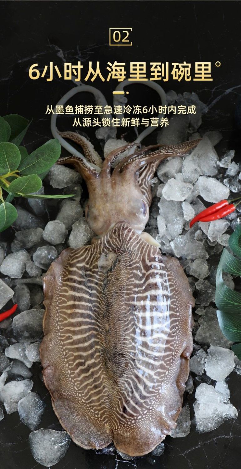 大墨鱼鲜活冷冻特大号乌贼鱼目鱼超大新鲜墨斗鱼目鱼海鲜水产渝珍 1.