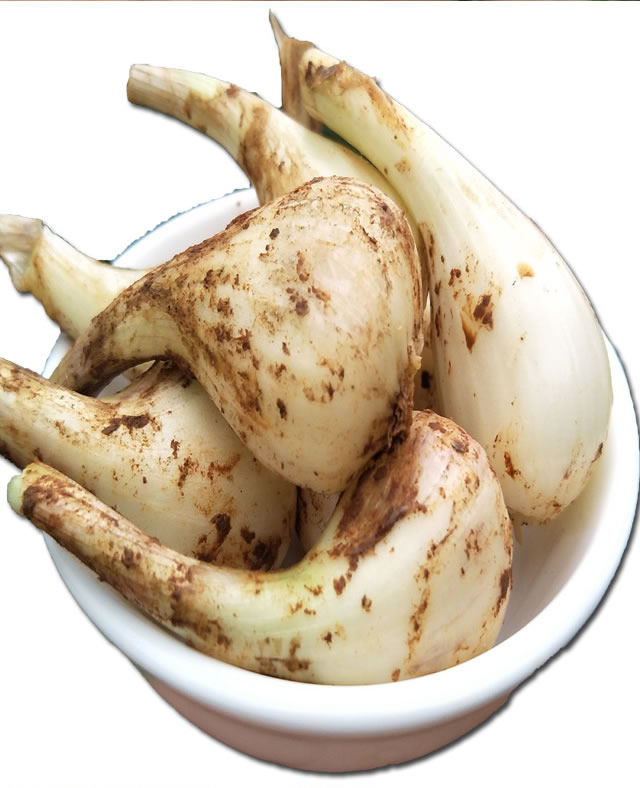 精选生鲜无叶荞头新鲜蕌头现挖农家茭头江西特产蔬菜教头多规格可选去