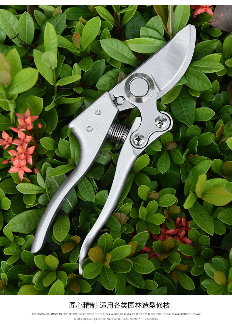 进口sk5锰钢修枝剪刀树枝剪果枝剪果树剪刀园林园艺粗枝剪银色铝柄剪