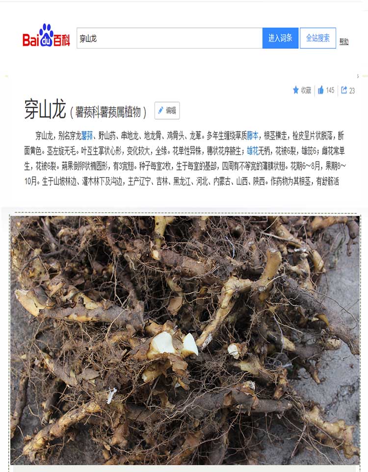 东北野生穿山龙野生500克串地龙骨精选无硫切片泡酒