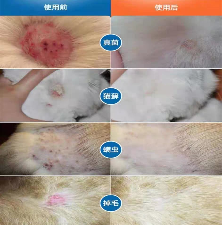 维克药浴宠物药浴猫狗止痒猫癣脓皮异位皮炎脱毛皮肤病