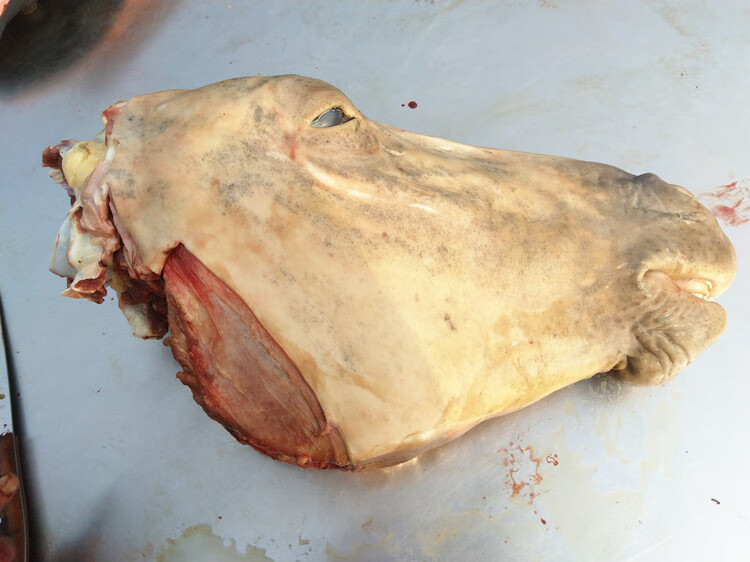 天锦新鲜现杀驴肉生驴头整只驴头全驴宴驴头肉驴头带眼睛和脸肉驴舌