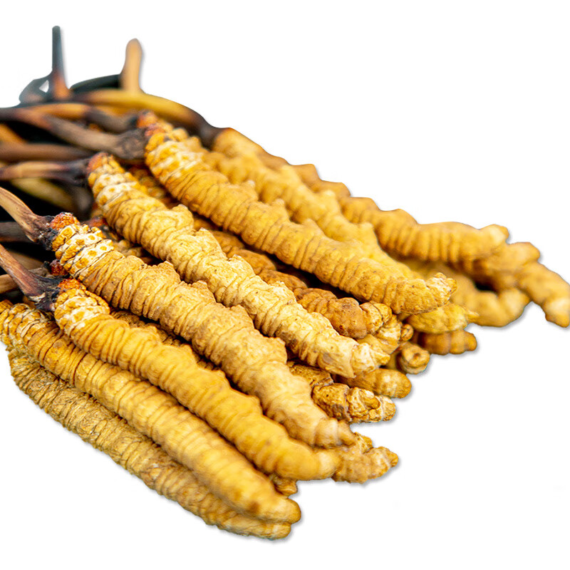 那曲新货西藏新鲜冬虫夏草冬虫草礼盒3条克礼盒装